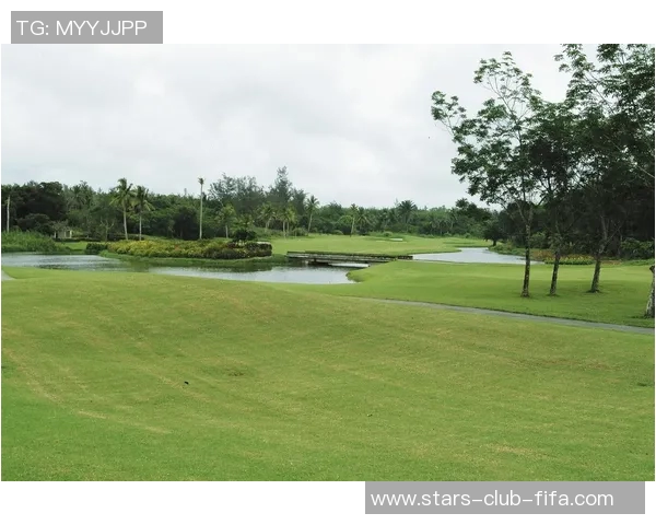 高尔夫足球场的魅力探索与运动文化的深度融合之旅